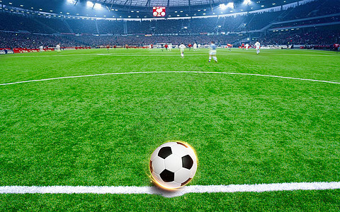 湖南省人民政府关于加快发展体育产业促进体育消费的实施意见